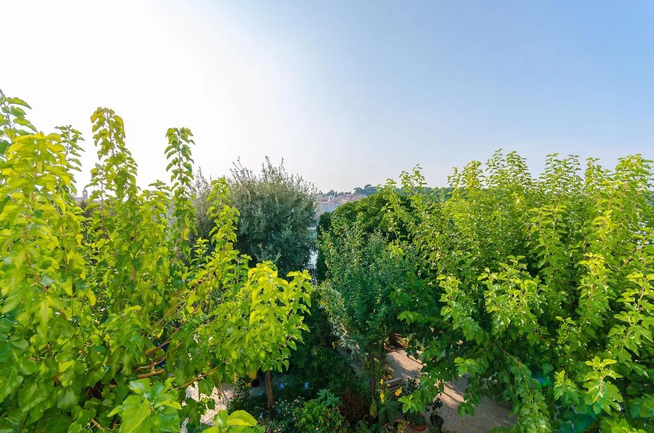 Apartments Zarko Banjol 0*,
