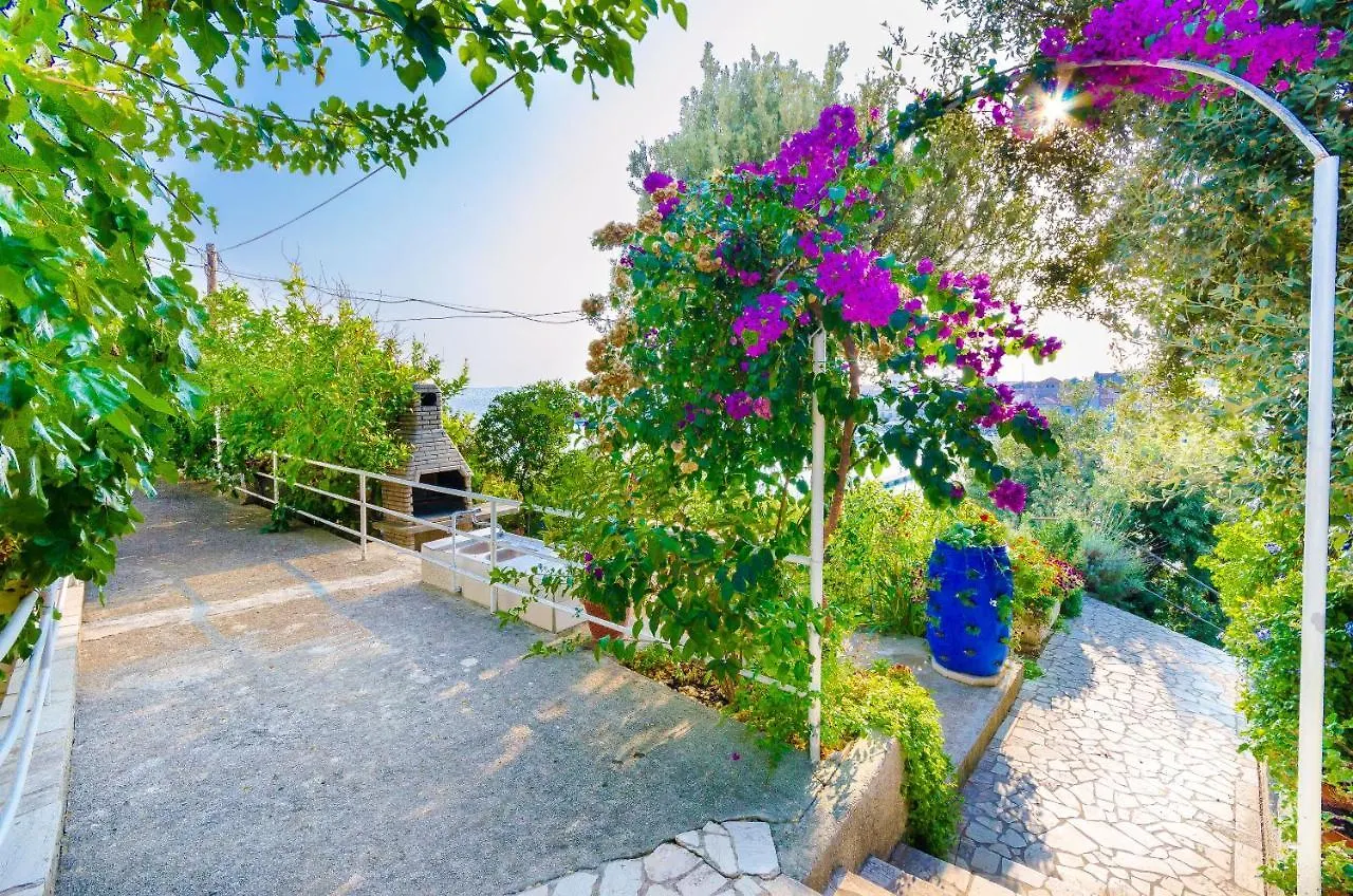 Apartments Zarko Banjol